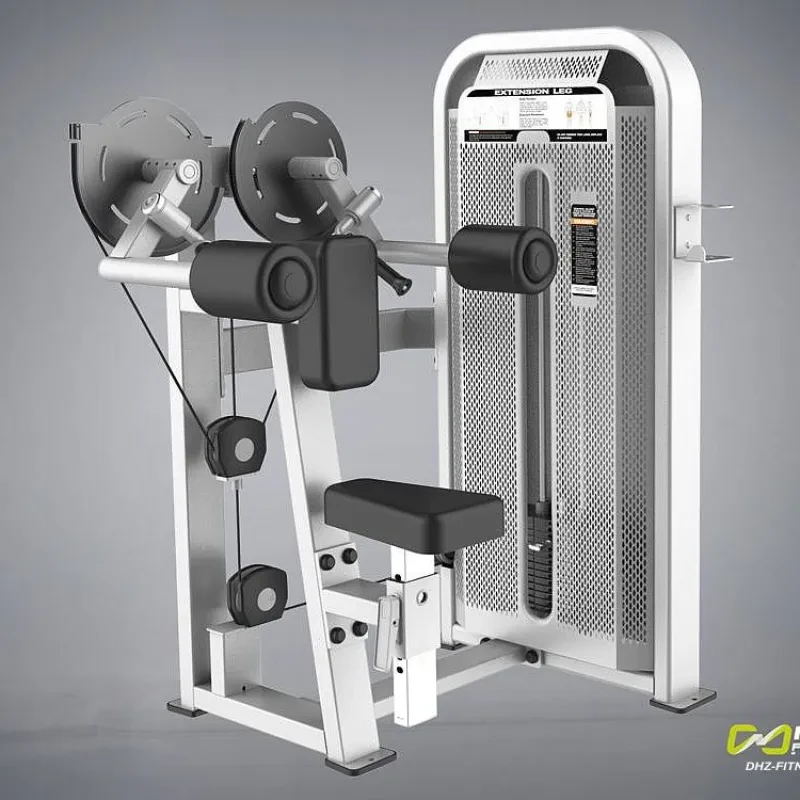 Lateral Raise –  DHZ E5005H